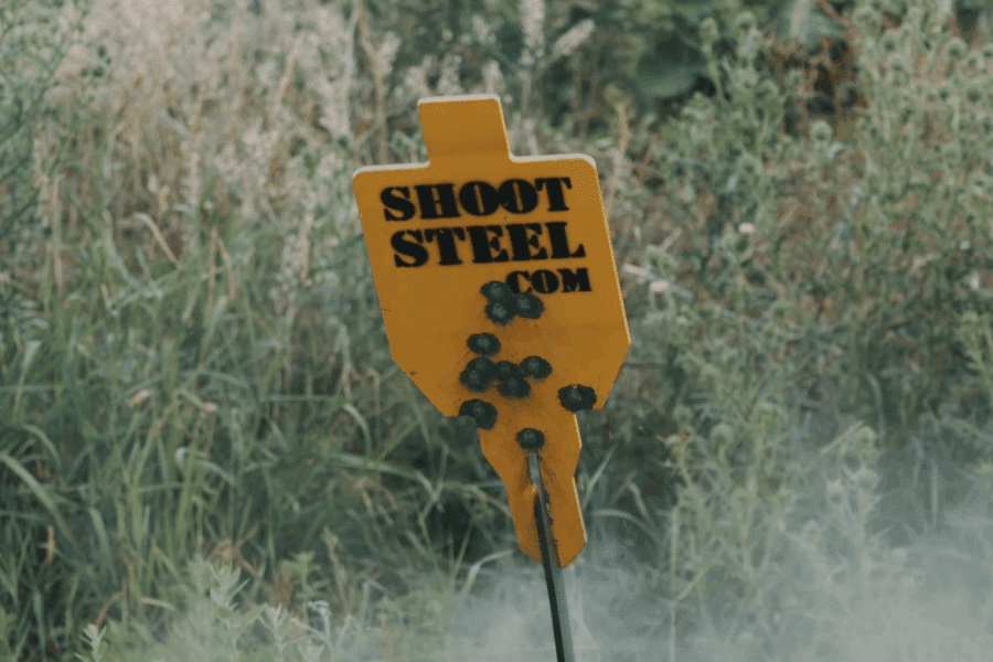 AR550 steel targets