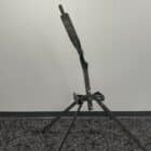 AR550 Evil Roy upright